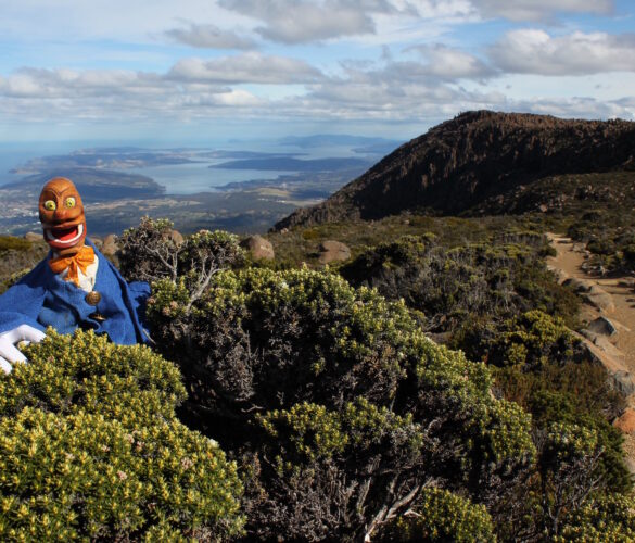 Igor in Tasmania at the top of Mt Wellington