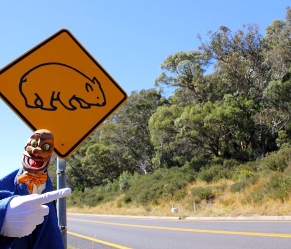 Igor with a wombat road sign