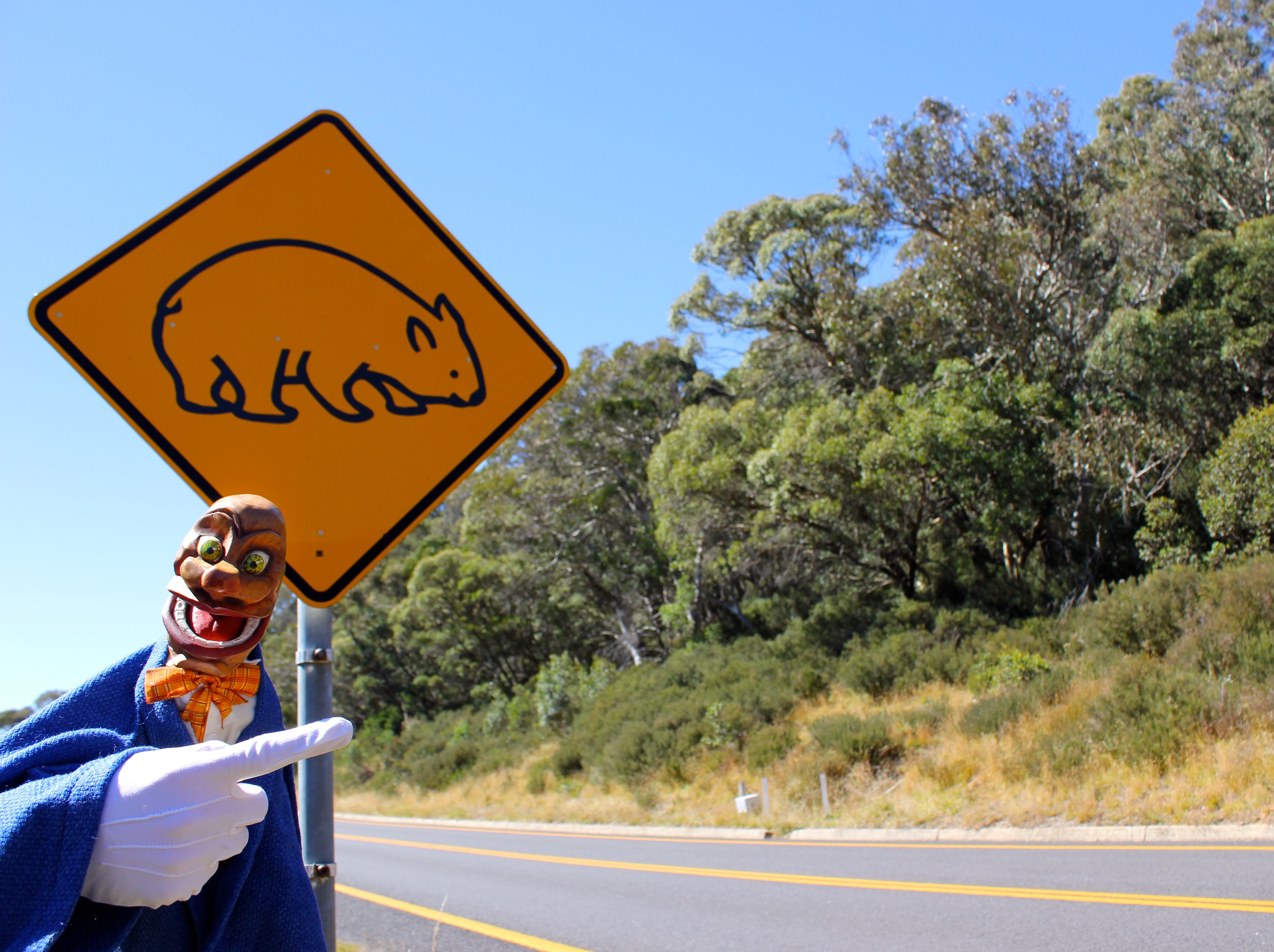 Igor with a wombat road sign