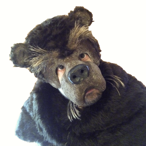 Bear mask made out of aper mache and synthetic fur