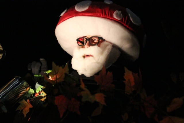 Masque chapeau de champignon rouge à points blancs avec lunettes et barbe